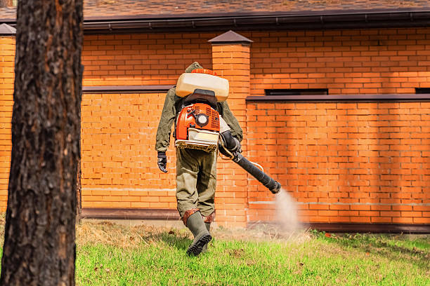 Bed Bug Clearance Verification and Documentation in Rocky Top